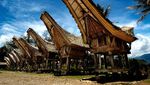 Yuk! Ramai-ramai ke \Lovely December\ di Toraja