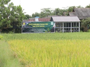 Dua Jurus Kementan Kembangkan Sektor Pertanian
