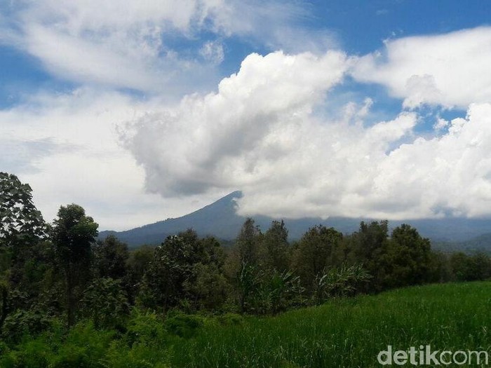 Asap erupsi Gunung Raung membumbung tinggi hingga mencapai 1 kilometer. Asap terbawa angin ke arah timur puncak gunung.