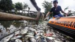 Penampakan Ikan yang Mati Mendadak di Setu Citongtut Bogor