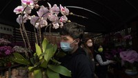 Tahun-tahun sebelumnya ribuan toko bunga dan penjual barang meriah menjajakan dagangan mereka kepada publik jelang Imlek. Namun tahun ini, pemerintah Hong Kong akan menerapkan pembatasan pada pasar semacam itu, yang hanya dapat berjalan dengan kapasitas setengah dan jam kerja yang dipersingkat.  
