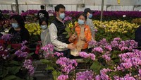 Perkebunan bunga seperti Yeung biasanya menghasilkan sekitar 50% keuntungan mereka dari musim Tahun Baru Imlek.  