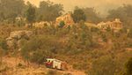 Kebakaran Hutan Australia Bikin 71 Rumah Rusak Berat