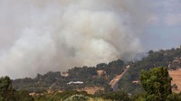 Para ilmuwan mengatakan tata letak Perbukitan Perth membuatnya sangat rentan terhadap kebakaran, terlebih akibat perubahan iklim, dengan kebakaran besar melanda rumah-rumah di daerah tersebut empat kali sejak tahun 2009.