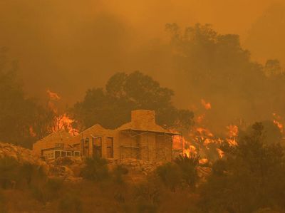 Kebakaran Hutan Australia Bikin 71 Rumah Rusak Berat