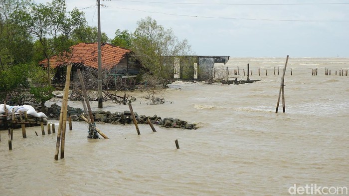Kondisi rumah dan tempat pengungsian sementara warga Dukuh Bedono, Desa Bedono, Kecamatan Sayung, Demak akibat gelombang tinggi dan cuaca ekstrem, Rabu (3/2/2021).