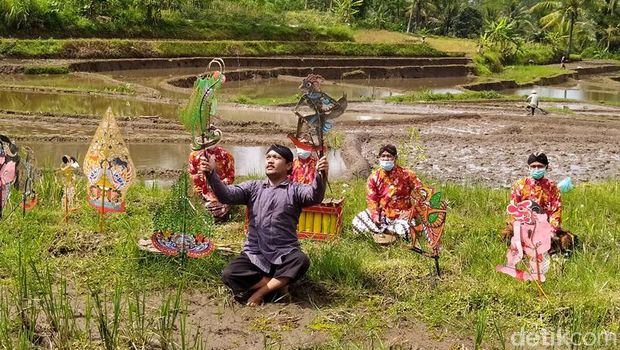 Pementasan Wayang Serangga di Lokasi Persawahan Magelang