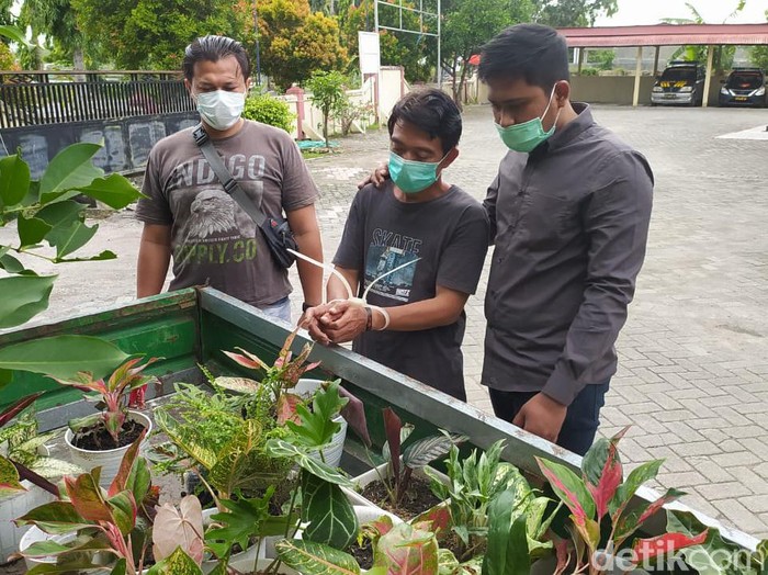 Pria ini nekat mencuri bunga di kios-kios yang ada di Lamongan. Aksi pencurian itu sudah ia lakukan 5 kali.