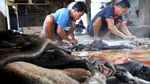 Melihat Pembuatan Kerupuk Kulit di Aceh
