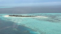Namun Asdianti membantah membeli pulau tersebut dan menegaskan hanya membeli lahan di pulau itu yang diklaim oleh warga bernama Syamsul Alam.