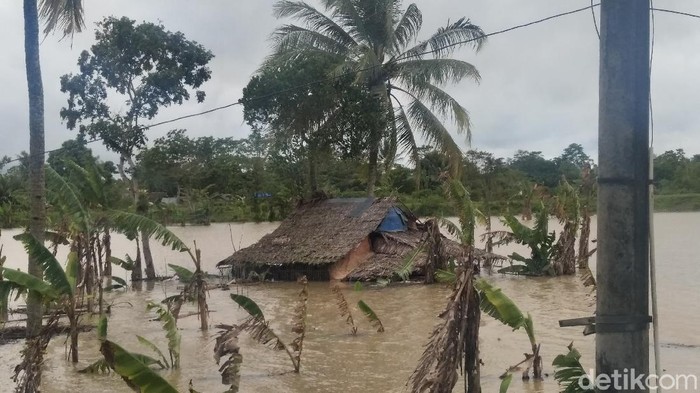 Ribuan hektar sawah di Pandeglang gagal tanam gegara banjir