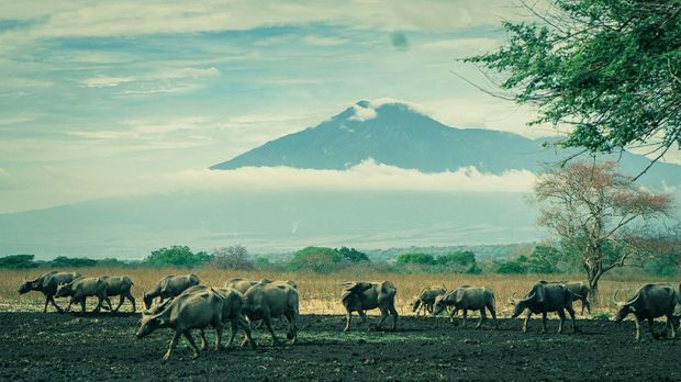 Savana Bekol, Kampung Warna-warni Malang, dan Danau Kelimutu