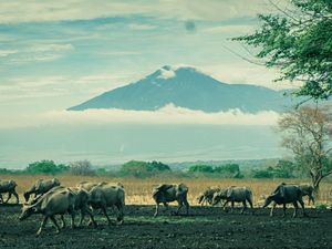 9 Tempat Wisata Indonesia yang Mirip dengan Luar Negeri