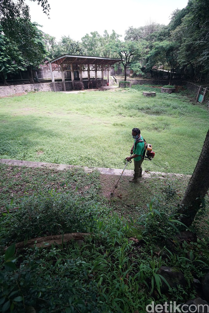 Taman Satwa Taru Jurug atau Solo Zoo