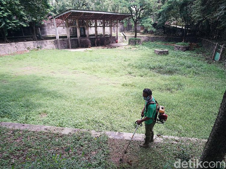 Suasana Sepi Kebun Binatang Solo