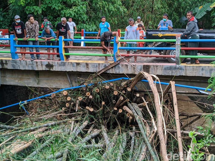bambu menumpuk di sungai