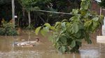 Sungai Bengawan Solo Meluap, Kampung Sewu Kebanjiran