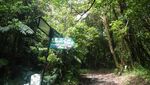1 Hari Mendaki Gunung Gede, Bisa Banget!
