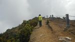 1 Hari Mendaki Gunung Gede, Bisa Banget!