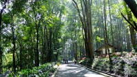 Rindangnya Taman Marga Satwa Muara Angke (Sumber: tourismindonesiaonline.com)