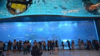 Dubai Aquarium yang ada di dalam Dubai Mall.