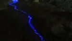 13 Tips Penting Sebelum Liburan ke Kawah Ijen