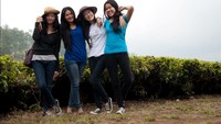 Perkebunan Teh Ranca Bali