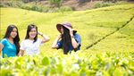 2 Destinasi Liburan Murah di Ciwidey Selain Kawah Putih