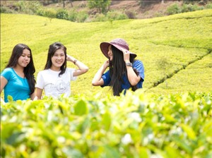 2 Destinasi Liburan Murah di Ciwidey Selain Kawah Putih