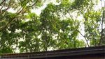 2 Gua yang Menghipnosis Petualang di Bogor