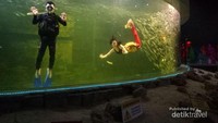 Pertunjukan atraksi Putri Duyung DI Ocean Dream Samudera