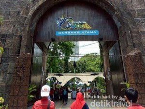 2 Hari yang Berkesan Keliling Ancol