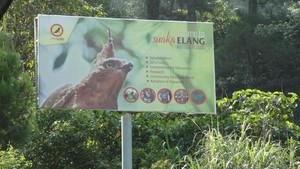 2 Penangkaran Elang Tak Jauh dari Jakarta