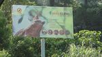 2 Penangkaran Elang Tak Jauh dari Jakarta