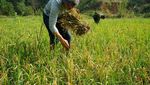 20 Hari Plesir ke Laos, Ini Cara Menghemat Biayanya