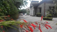 House of Sampoerna