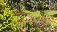Taman Bungkul Surabaya
