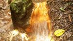 3 Air Terjun Cantik di Kaki Gunung Ijen