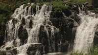 Berair jernih, Niagara Mini terlihat cantik