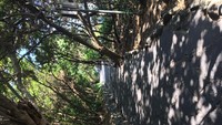 Rindangnya Akses Jalan Menuju Lokasi Air Terjun