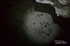 3 Gua Alam di Bogor yang Belum Banyak Orang Tahu