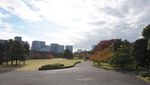 3 Hari di Tokyo, Bisa ke Mana Saja?