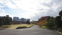Imperial Palace, kediaman keluarga kaisar dengan tamannya yang luas