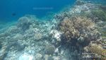 3 Hari di Wakatobi, Kunjungi Tempat-tempat Ini