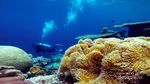3 Hari di Wakatobi, Kunjungi Tempat-tempat Ini