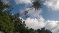 Euodia sedang bersantai di Pantai Sombu
