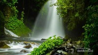 Kegagahan air terjun Telunjuk Dewa Raung ditengah belantara hijau