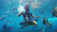Snorkeling di Pantai Bangsring, ditemani ratusan ikan  terumbu karang