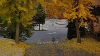 The Garden of Morning Calm - South Korea (Saat Autumn)