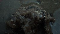 Coba lihat, ikan teri yang sudah beberapa hari diproses.